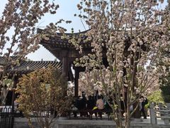 -元大都城垣遗址公园