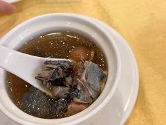 -鸿达渔港