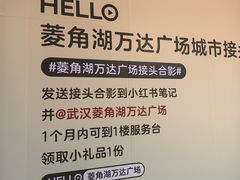 -万达广场(武汉菱角湖店)