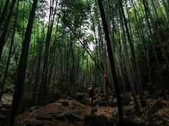 -莫干山风景区