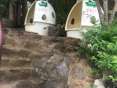 -100蛋泥浆浴