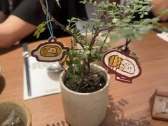 -CURRY YA 熟成咖哩專門店(深圳湾万象城店)