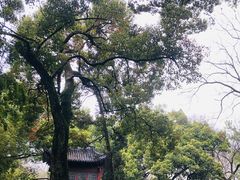-杭州黄龙洞