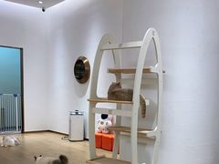 -1013 PET SHOP精品宠物商店(丁香店)
