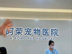 -阿荣24H宠物医院·综合型转诊中心·CT·核磁影像中心