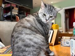 -1984魔法桌游(观音桥店)