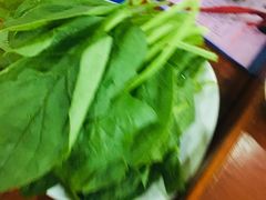 -鑫龙火锅城(阳光新路店)