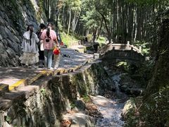 -莫干山风景区