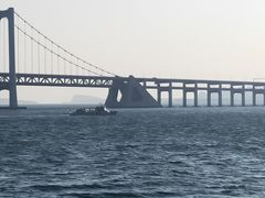 -星海湾跨海大桥