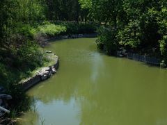 -大兴滨河森林公园