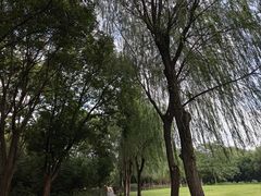 -白塔湖国家湿地公园