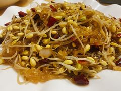 豆芽炒粉条-祝家饺子馆