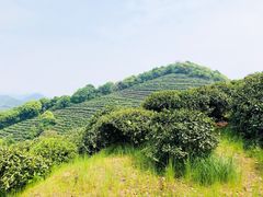 -西湖风景区十里琅珰-五云山