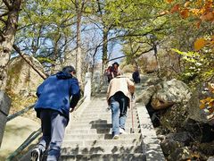 -崂山巨峰游览区