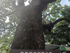 -黄埔古港
