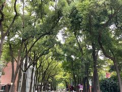 -四川大学(望江校区)
