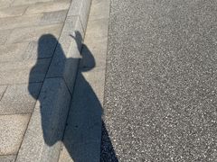 -南湖湿地公园