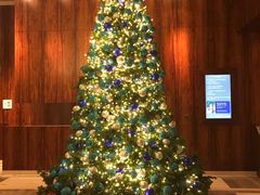 -香港尖沙咀凯悦酒店