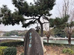 -八大山人梅湖景区