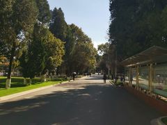 -云南师范大学(一二一西南联大校区)