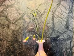 -大鸭梨烤鸭(广安门甄选店)