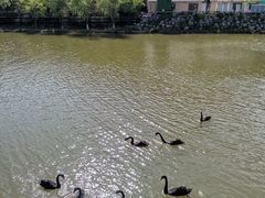 -静之湖度假区