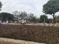 -海珠儿童公园