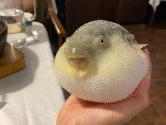 -肆月河豚·新淮扬(金融街店)