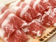 -顺德哥卜卜贝(旗舰店)