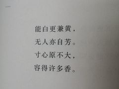 -杭州滨江区图书馆科技分馆