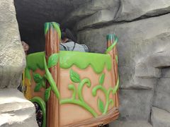 -南宫五洲植物乐园