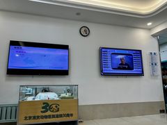 -北京观赏动物医院·24小时大型综合·猫专科·异宠专科