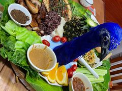 -沐毫傣泐云南菜孔雀宴•手抓饭傣味烧烤(曼听店)