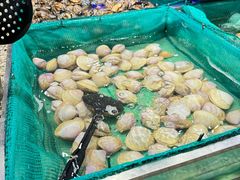 -初色海鲜自助(万丰路店)