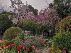 -太子山公园(园东路)