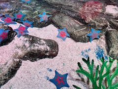 -沈阳海洋探索中心