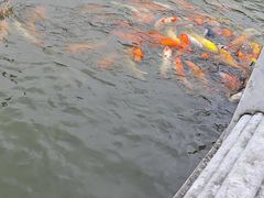 -珠海圆明新园