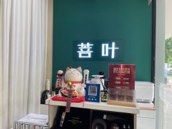 -菩叶脱发白发中心