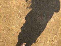 -营口金泰珑悦海景大酒店