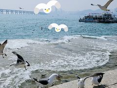 -星海广场