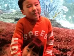 -沈阳海洋探索中心