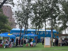 -中国宋庆龄青少年科技文化交流中心