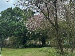 -南宁南湖公园