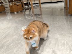 -科兴科学园
