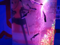 -常州海昌海洋探索馆