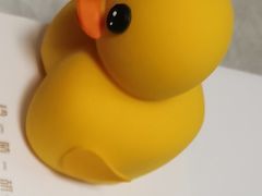 小黄鸭-玲婧胡同·生日蛋糕·餐厅(嘉里城店)