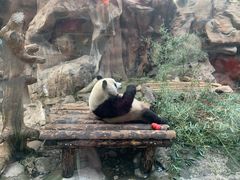 景点-北京动物园