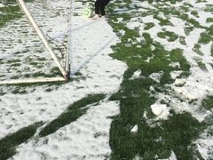 -瑞思少儿中心·少儿英语素养启蒙(回龙观校区)