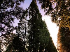 -歌斐颂巧克力小镇