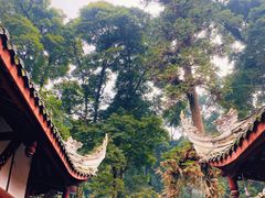 -凤栖山